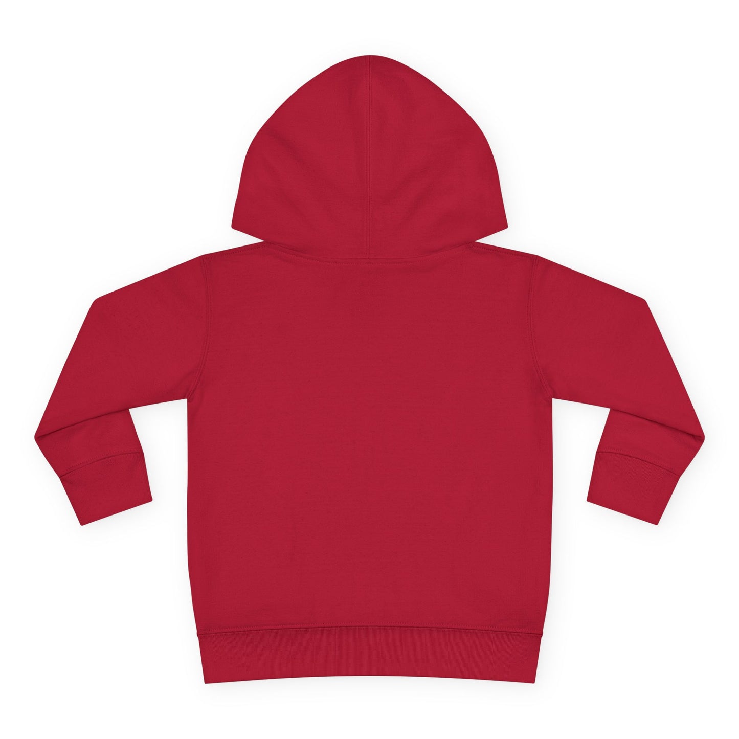 Toddler Hoodie — 'Forest Kid' Raccoon Graphic Kids Pullover