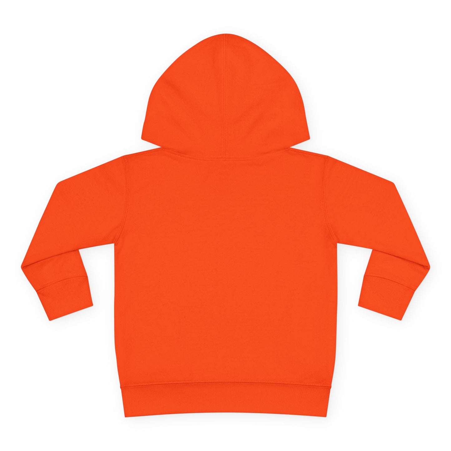 Toddler Hoodie — 'Forest Kid' Raccoon Graphic Kids Pullover