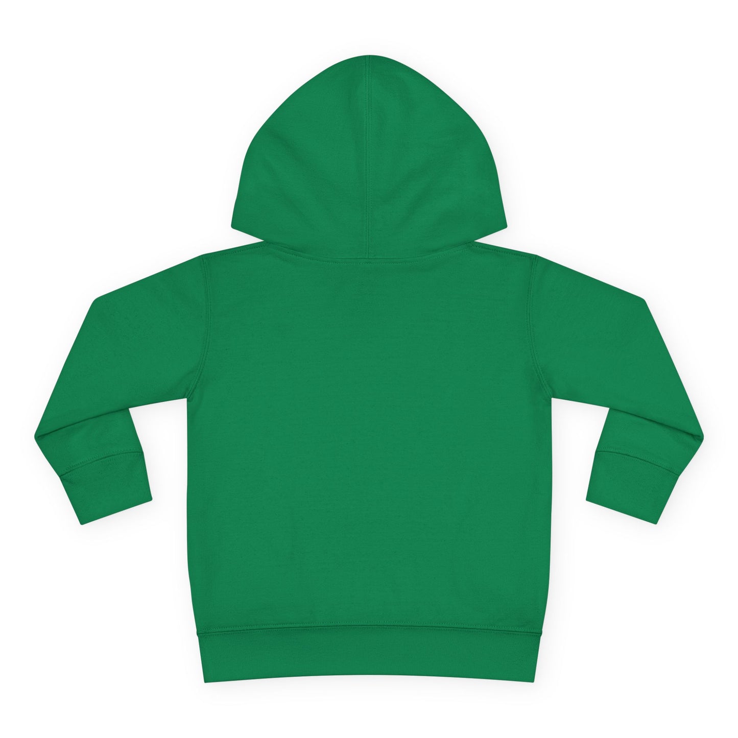 Toddler Hoodie — 'Forest Kid' Raccoon Graphic Kids Pullover
