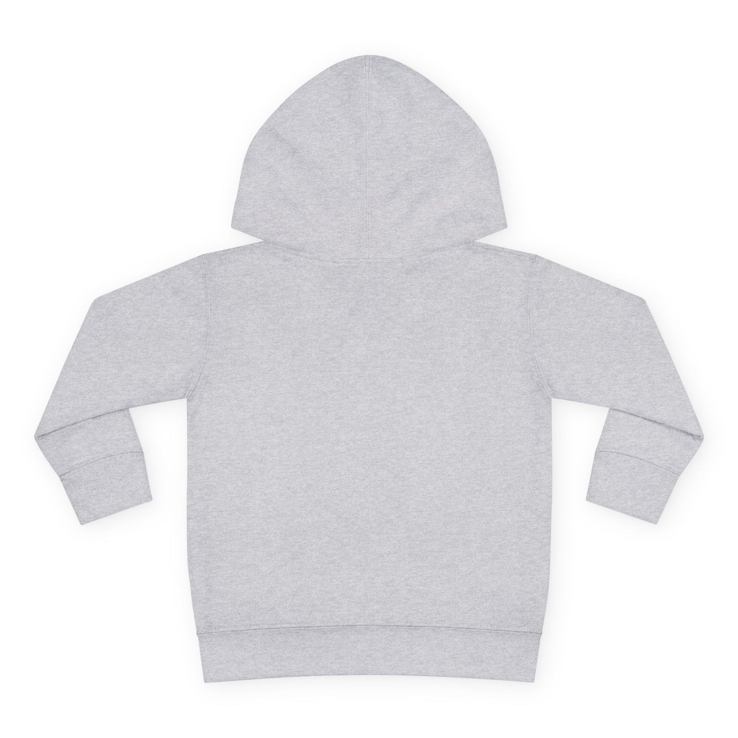 Toddler Hoodie — 'Forest Kid' Raccoon Graphic Kids Pullover